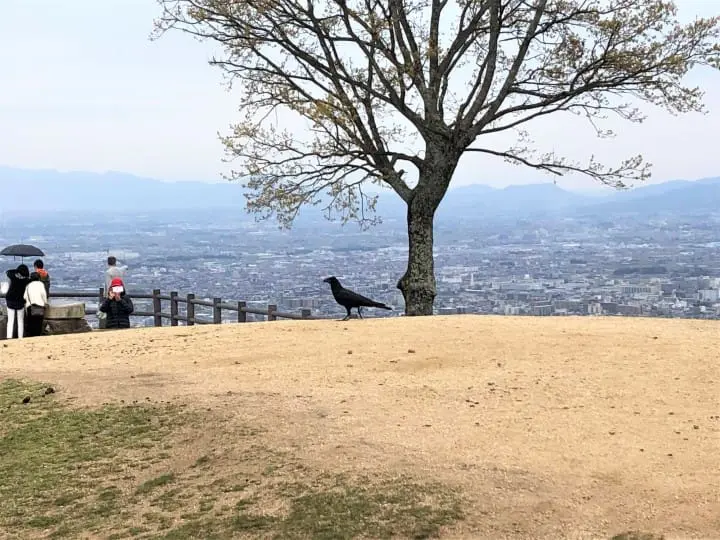 NARA ON AND OFF THE BEATEN PATH