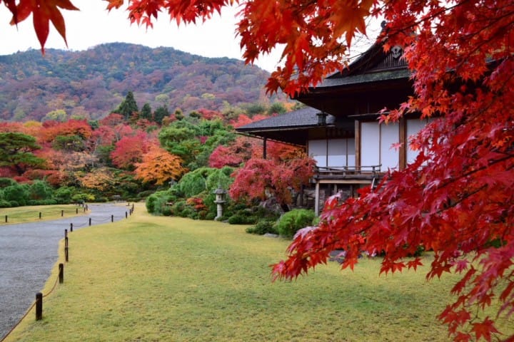 Thưởng ngoạn Arashiyama! Những trải nghiệm, địa điểm thăm quan, cách đi | MATCHA - tạp chí Web dành cho khách du lịch nước ngoài khi đến Nhật