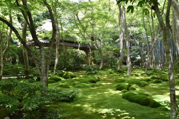 Thưởng ngoạn Arashiyama! Những trải nghiệm, địa điểm thăm quan, cách đi | MATCHA - tạp chí Web dành cho khách du lịch nước ngoài khi đến Nhật