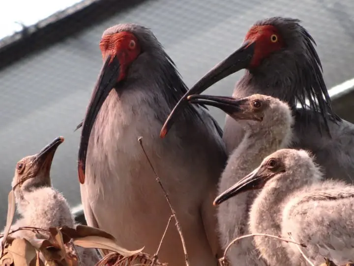 Photo Spots In Niigata! A Guide To Famous Must-Visit Spots And Great Food