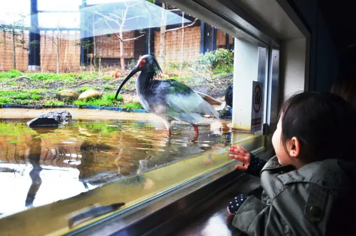 Photo Spots In Niigata! A Guide To Famous Must-Visit Spots And Great Food