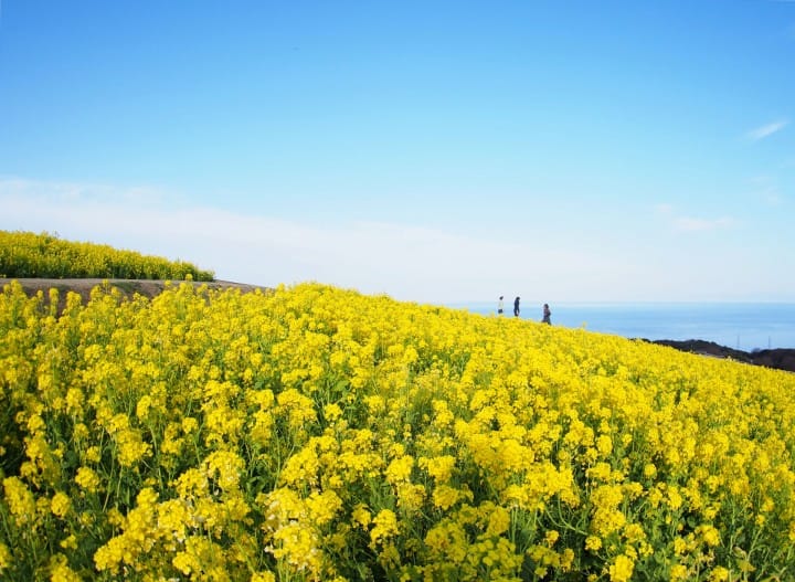 Awaji Island