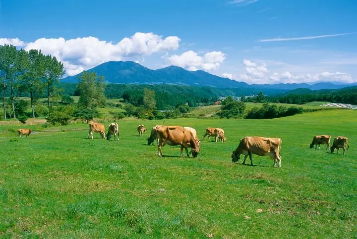 台湾からの直通便も运行！　絶景や美食を満吃できる冈山の见どころ＆モデルルートを绍介