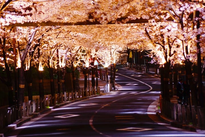 六本木の美術館、夜景、ホテルのまとめ(仮)