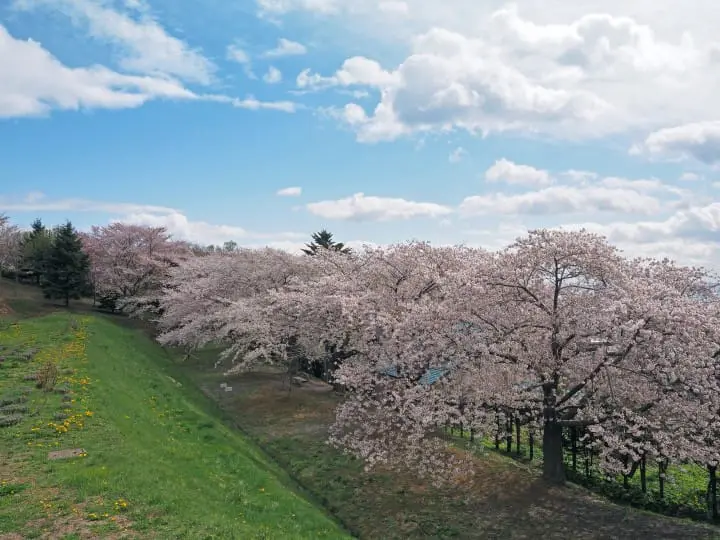 手宫绿化植物园