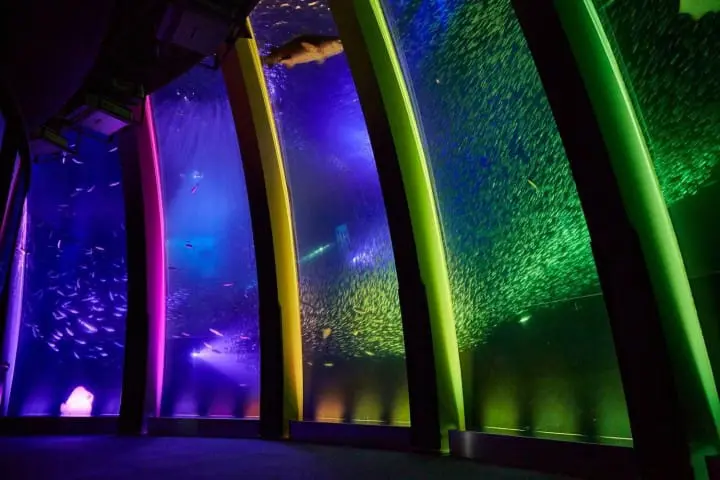 ไปโยโกฮาม่า ชมดอกไฮเดรนเยียกว่าสองหมื่นต้นที่งาน