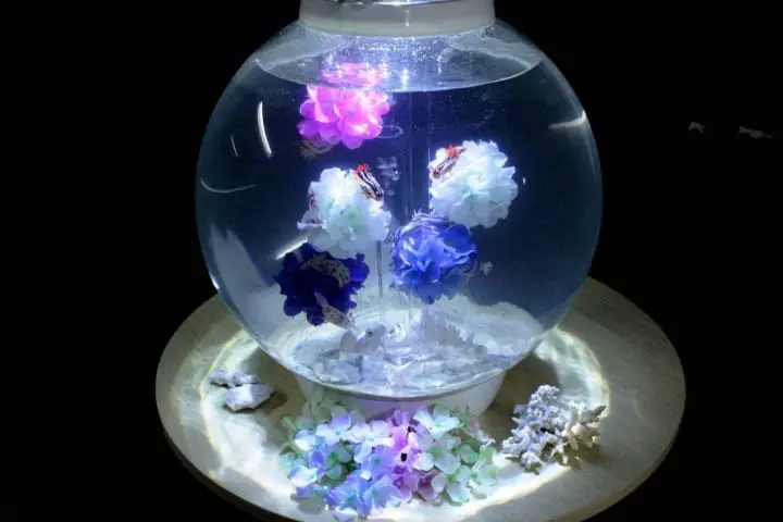 ไปโยโกฮาม่า ชมดอกไฮเดรนเยียกว่าสองหมื่นต้นที่งาน