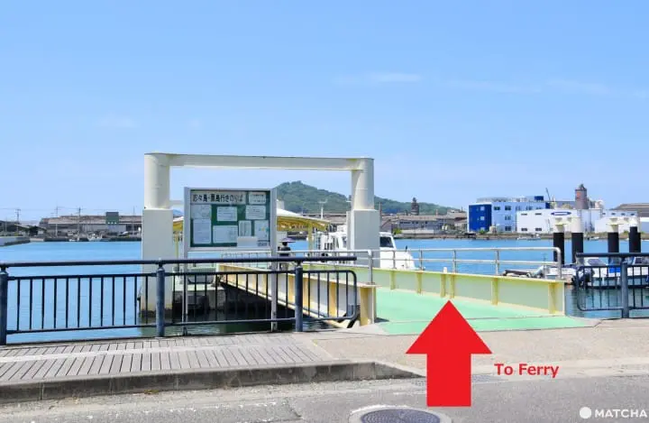 【香川】別世界へダイブ！神秘の大楠とアート・海ホタルを巡る志々島・粟島の1日旅