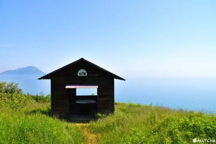 【香川】別世界へダイブ！神秘の大楠とアート・海ホタルを巡る志々島・粟島の1日旅