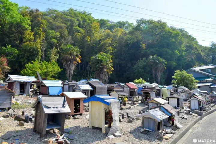 【香川】別世界へダイブ！神秘の大楠とアート・海ホタルを巡る志々島・粟島の1日旅