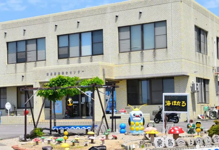 【香川】別世界へダイブ！神秘の大楠とアート・海ホタルを巡る志々島・粟島の1日旅