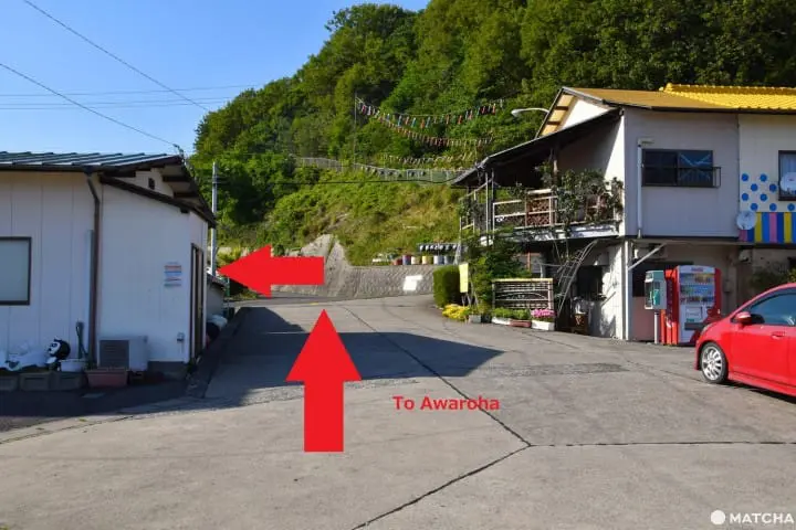 【香川】別世界へダイブ！神秘の大楠とアート・海ホタルを巡る志々島・粟島の1日旅