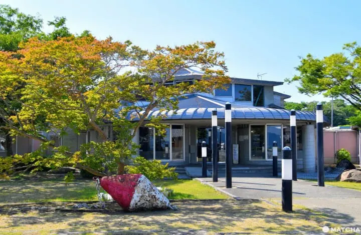 【香川】別世界へダイブ！神秘の大楠とアート・海ホタルを巡る志々島・粟島の1日旅