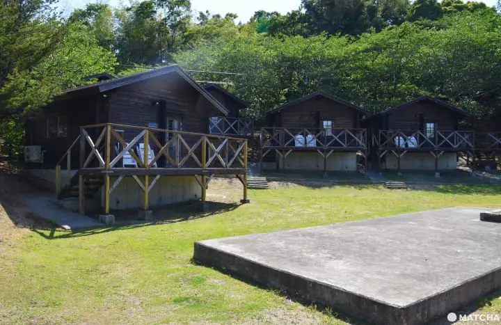 【香川】別世界へダイブ！神秘の大楠とアート・海ホタルを巡る志々島・粟島の1日旅