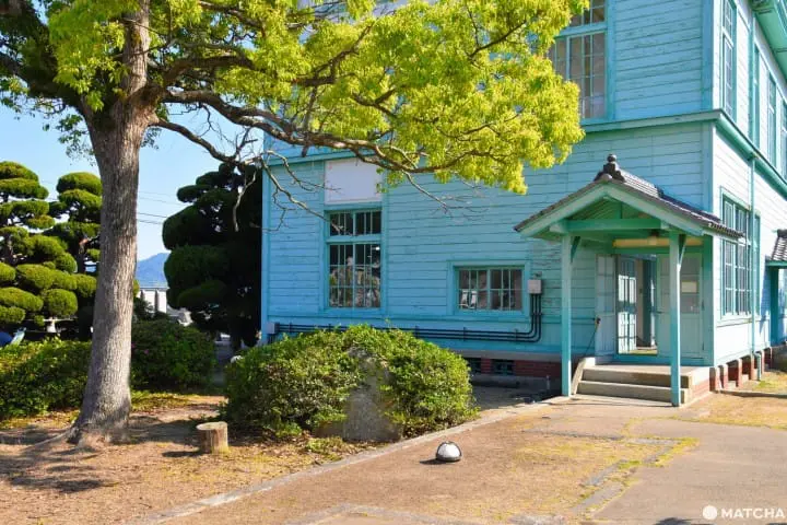 【香川】別世界へダイブ！神秘の大楠とアート・海ホタルを巡る志々島・粟島の1日旅