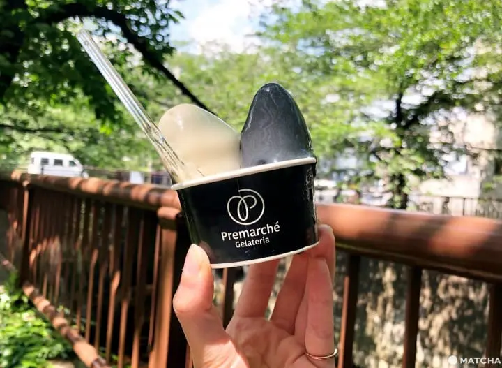 Premarche Gelateria