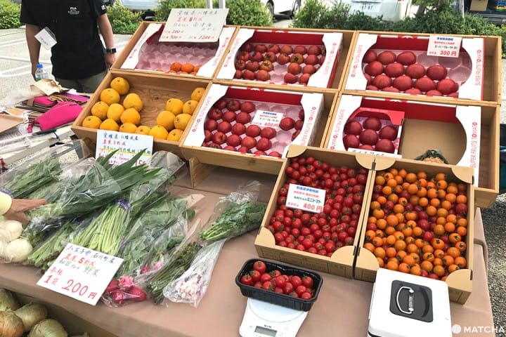 用新鮮早市來迎接新的一天!—代官山朝市