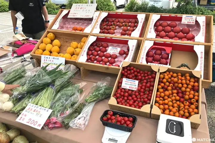 用新鮮早市來迎接新的一天！—代官山朝市