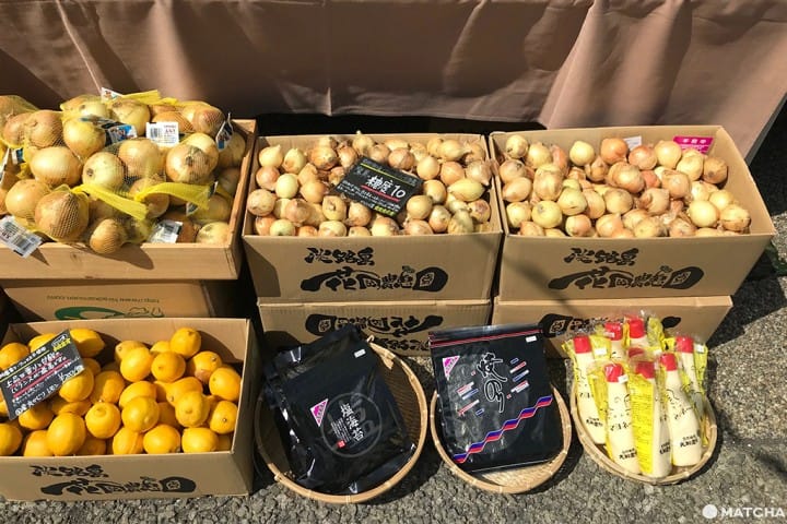 用新鮮早市來迎接新的一天!—代官山朝市