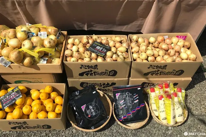 用新鮮早市來迎接新的一天！—代官山朝市