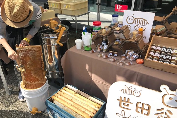 用新鮮早市來迎接新的一天!—代官山朝市