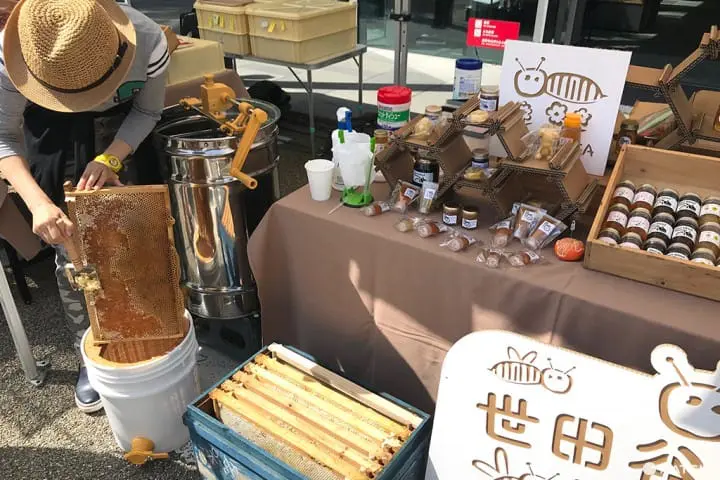 用新鮮早市來迎接新的一天！—代官山朝市