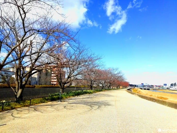 半田市