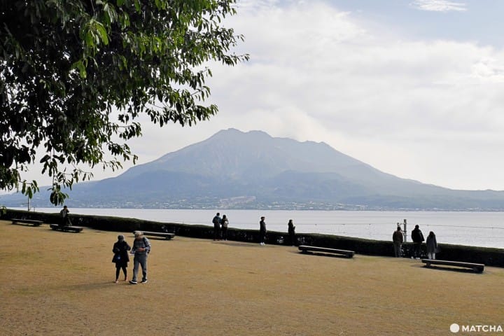 仙巖園櫻島