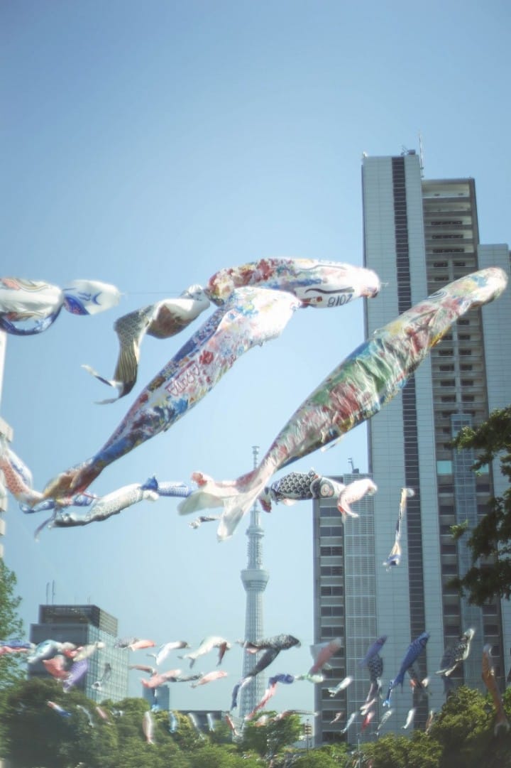 Japan's Seasons In Photos: May - Flowers And Children's Day