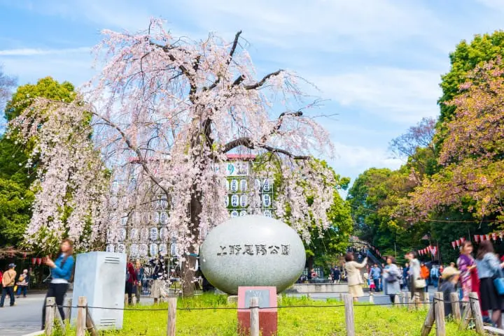 東京Metro地鐵9條路線推薦景點＋1日券與優惠折扣