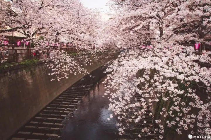 東京Metro地鐵9條路線推薦景點＋1日券與優惠折扣