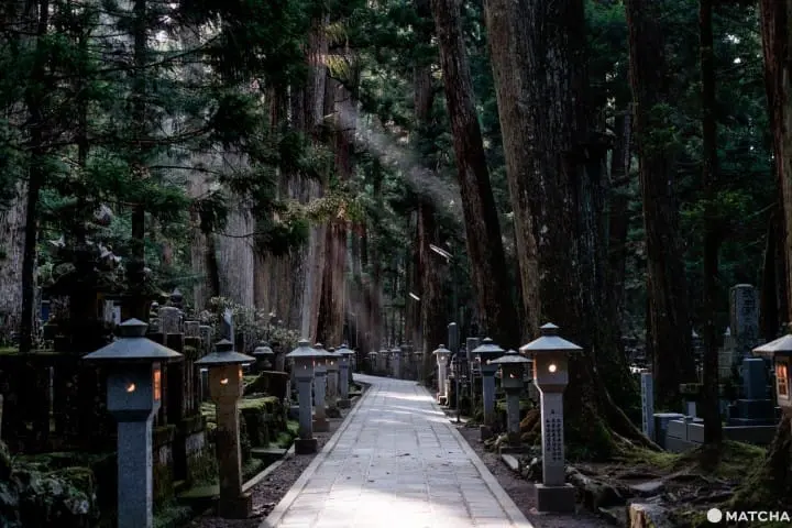 Mount Koya