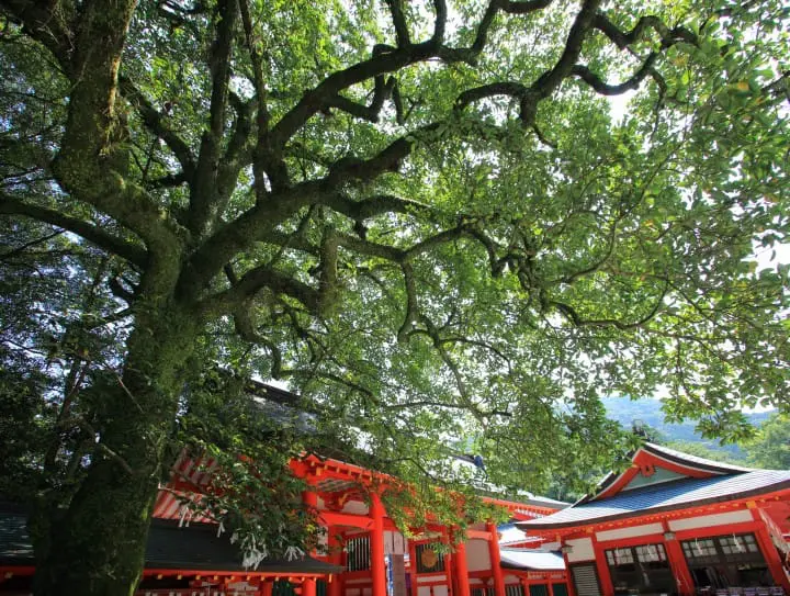 Kumano Hayatama Taisha Shrine