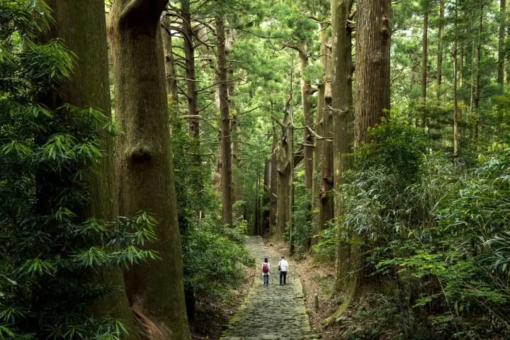 Kumano Kodo