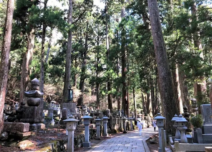 Hiking into History on Koyasan