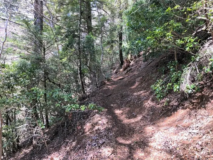 Hiking into History on Koyasan