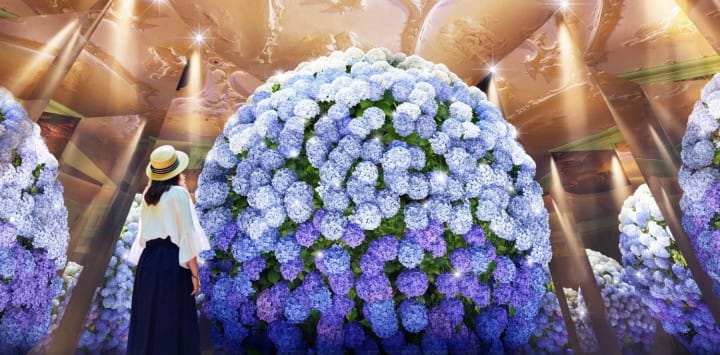 長崎豪斯登堡 繡球花巨蛋