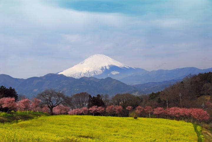 【富士山】爬山登顶远望打卡富士山与周边玩法一网打尽