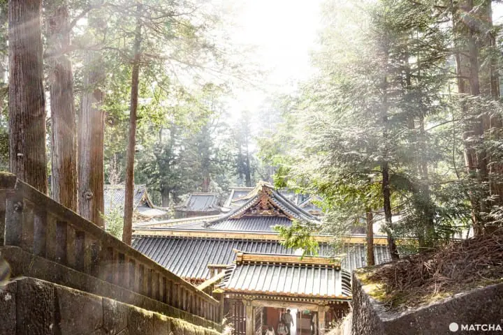 日光東照宮 - 豪華絢爛 東京を照らす守護神社 -