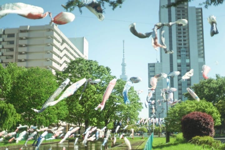 Japan's Seasons In Photos: May - Flowers And Children's Day