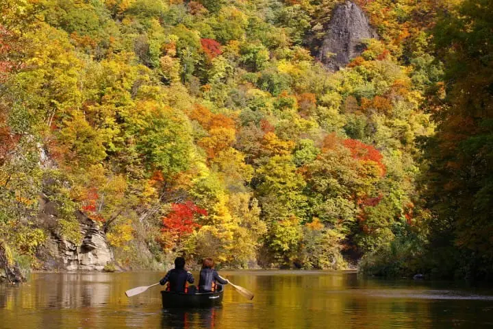 RWC Venues 2 - Tohoku and Hokkaido