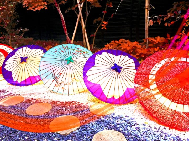Rainy Season In Japan - Regional Breakdown And Travel Tips
