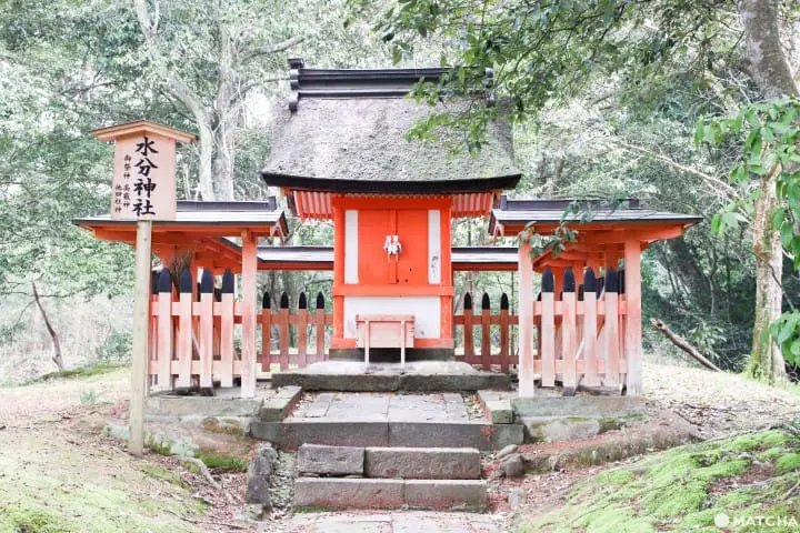 【大分】全日本四萬社八幡宮總本社 宇佐神宮