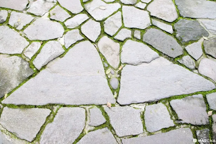 【大分】全日本四萬社八幡宮總本社 宇佐神宮