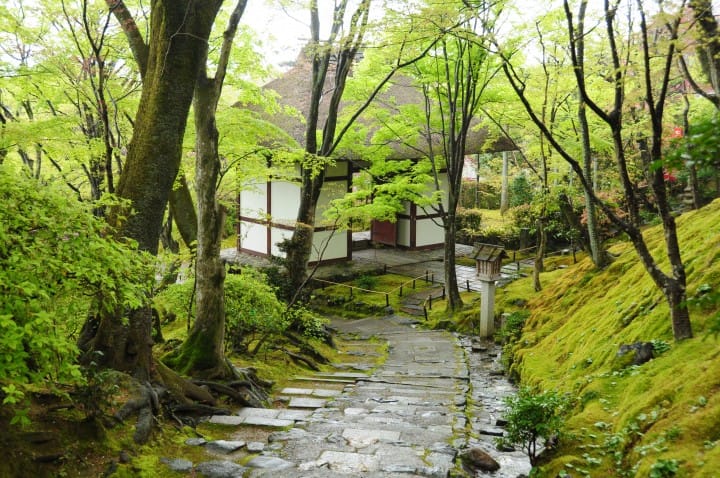 常寂光寺