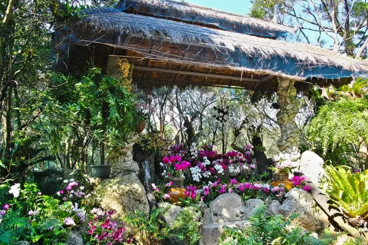 沖縄でしたいこと・行くべき場所15選・おみやげ・アクセスなど