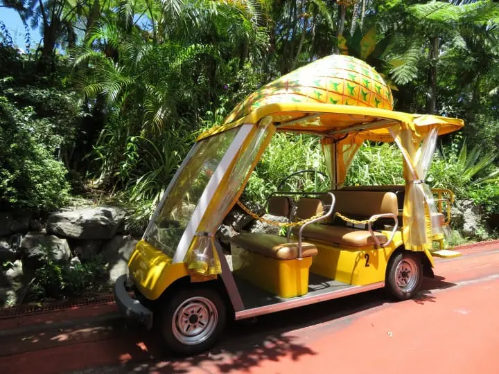 沖縄でしたいこと・行くべき場所15選・おみやげ・アクセスなど