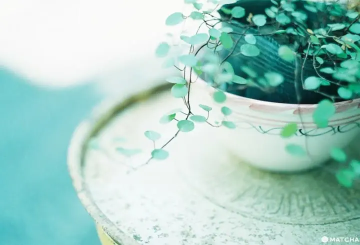 Fuji Pro 400H　底片