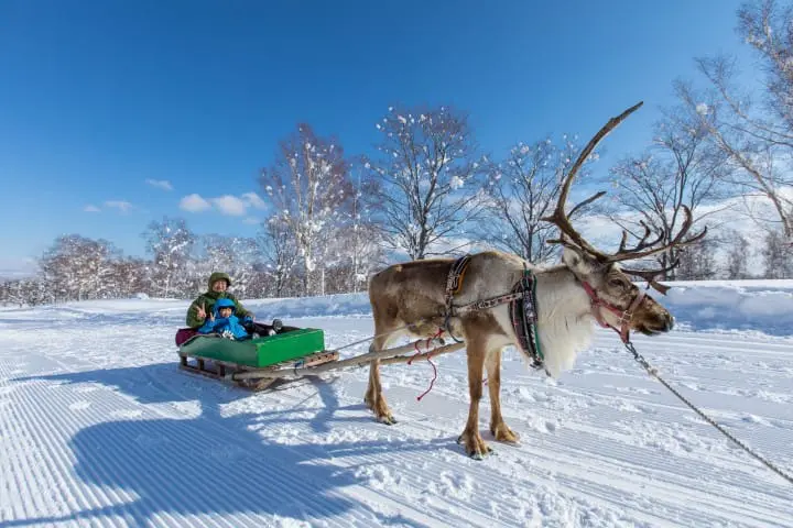 ニセコ観光ガイド〜人気のスキーリゾートから観光地・アクセスまで〜