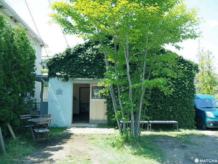 D13、ときどき五味食堂